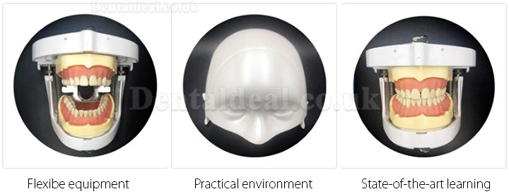 Jingle JG-A1 Phantom Head For Dental Students Dental Patient Simulation Unit